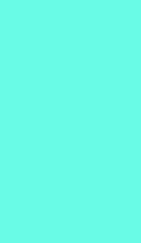 단색 6001